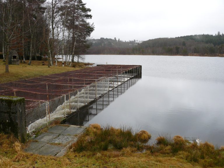 Déversoir - Passe à poissons - ©FDAAPPMA19